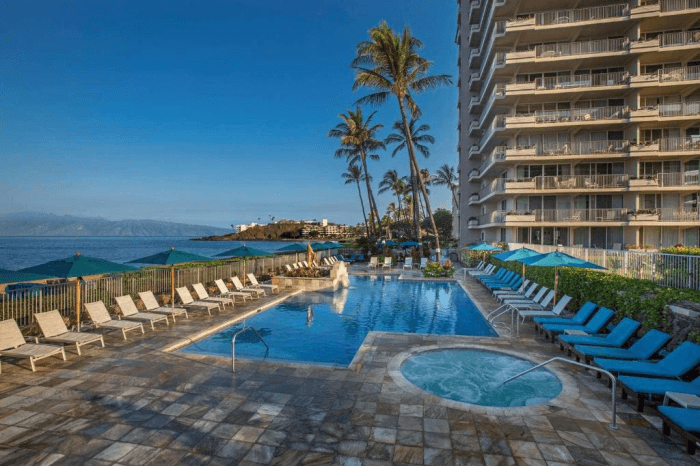Resort pool area with sun loungers, hot tub, and umbrellas by the ocean; tall palm trees and a multi-story building in the background.