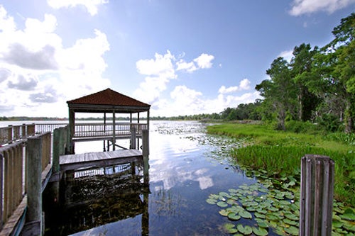 A wooden gazebo overlooks a tranquil lake with lily pads and surrounding greenery under a partly cloudy sky.