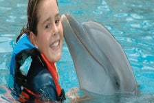 Go City Oahu All-Inclusive Pass in Honolulu, Hawaii