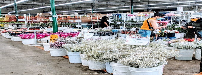 LA’s Fashion & Flower District: Private Half-Day Walking Tour in Los Angeles, California