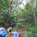 Rainbow Kayak Tours of Wailua River - Kauai photo submitted by Christie  Shimabuku 