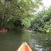 Rainbow Kayak Tours of Wailua River - Kauai photo submitted by Christie  Shimabuku 