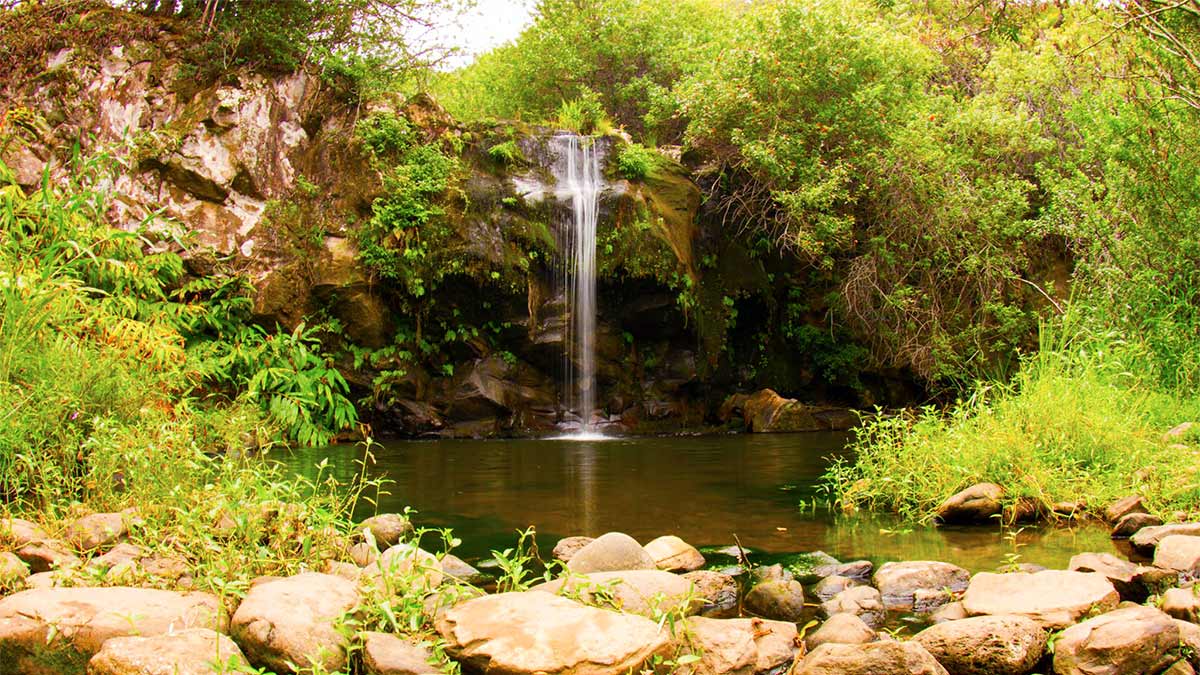 Kohala Waterfalls Adventure: In-Depth Guide to Big Island Hiking