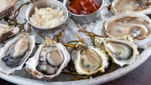 Close-up of a seafood platter with fresh oysters served on a bed of ice, accompanied by cocktail sauce, horseradish, and seaweed garnish.